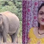 डोईवाला में दूध लेने गई महिला पर जंगली हाथी का हमला, अस्पताल में तोड़ा दम, ग्रामीणों का फूटा गुस्सा